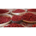 Ningxia de alta calidad seca bayas de Goji (WolfBerry)